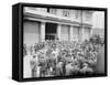 Awaiting the former mayor of Rome, Ernesto Nathan, aboard the steamship Stampalia, New York, 1914-null-Framed Stretched Canvas