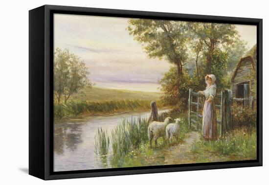 Awaiting the Return of the Sheep in the Sunset-Ernest Walbourn-Framed Stretched Canvas