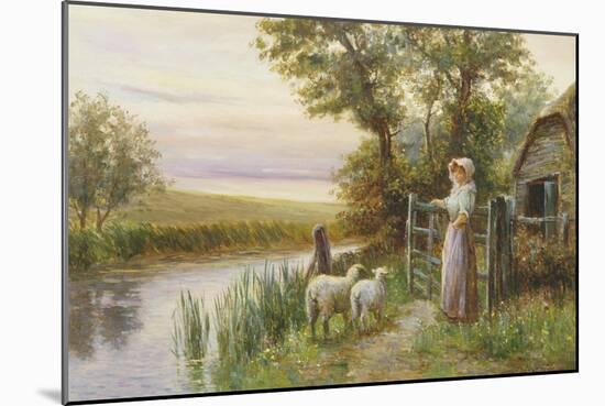 Awaiting the Return of the Sheep in the Sunset-Ernest Walbourn-Mounted Giclee Print