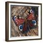 Awaken' Peacock Butterfly on Woodpile-Kirstie Adamson-Framed Giclee Print