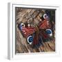 Awaken' Peacock Butterfly on Woodpile-Kirstie Adamson-Framed Giclee Print