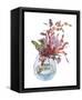 Awaken Protea I-Melissa Wang-Framed Stretched Canvas