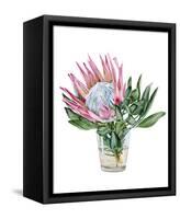 Awaken Protea II-Melissa Wang-Framed Stretched Canvas