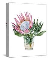 Awaken Protea II-Melissa Wang-Stretched Canvas