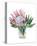 Awaken Protea II-Melissa Wang-Stretched Canvas