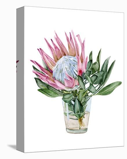 Awaken Protea II-Melissa Wang-Stretched Canvas