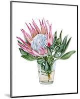 Awaken Protea II-Melissa Wang-Mounted Art Print