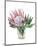 Awaken Protea II-Melissa Wang-Mounted Art Print