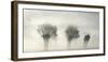 Awakening Earth-Piet Flour-Framed Photographic Print