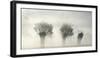 Awakening Earth-Piet Flour-Framed Photographic Print