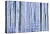 Awakening Forest-Jacob Berghoef-Stretched Canvas