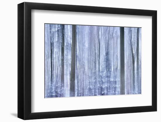 Awakening Forest-Jacob Berghoef-Framed Photographic Print