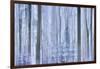 Awakening Forest-Jacob Berghoef-Framed Photographic Print