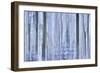 Awakening Forest-Jacob Berghoef-Framed Photographic Print