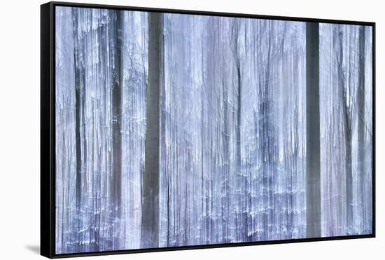 Awakening Forest-Jacob Berghoef-Framed Stretched Canvas