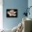 Awakening Magnolia-George Oze-Photographic Print displayed on a wall