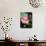 Awakening Pink Lotus-George Oze-Photographic Print displayed on a wall