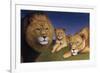 Awakening Pride-James W. Johnson-Framed Giclee Print