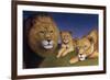 Awakening Pride-James W. Johnson-Framed Giclee Print