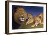 Awakening Pride-James W. Johnson-Framed Giclee Print