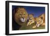 Awakening Pride-James W. Johnson-Framed Giclee Print