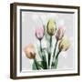 Awakening Tulips-Albert Koetsier-Framed Art Print