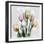 Awakening Tulips-Albert Koetsier-Framed Art Print