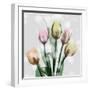 Awakening Tulips-Albert Koetsier-Framed Art Print