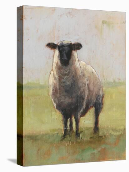 Away from the Flock I-Ethan Harper-Stretched Canvas