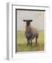 Away from the Flock I-Ethan Harper-Framed Art Print