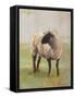 Away from the Flock II-Ethan Harper-Framed Stretched Canvas