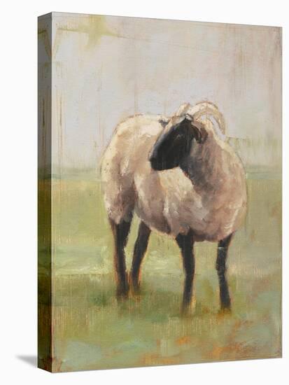 Away from the Flock II-Ethan Harper-Stretched Canvas
