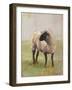 Away from the Flock II-Ethan Harper-Framed Art Print