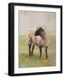 Away from the Flock II-Ethan Harper-Framed Art Print