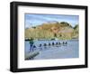 Away from the Jetty-Timothy Easton-Framed Premium Giclee Print