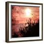 Away We Go-Philippe Sainte-Laudy-Framed Premium Photographic Print