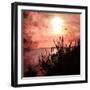 Away We Go-Philippe Sainte-Laudy-Framed Photographic Print