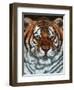 Awesome Beauty-Jenny Newland-Framed Giclee Print