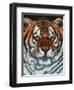 Awesome Beauty-Jenny Newland-Framed Giclee Print