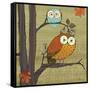 Awesome Owls I-Paul Brent-Framed Stretched Canvas