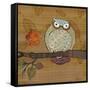 Awesome Owls III-Paul Brent-Framed Stretched Canvas