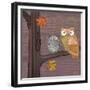 Awesome Owls IV-Paul Brent-Framed Premium Giclee Print
