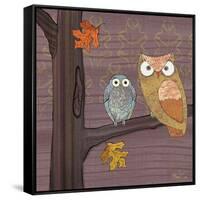 Awesome Owls IV-Paul Brent-Framed Stretched Canvas