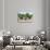 Awesome South Africa Collection - African Buffalo Herd-Philippe Hugonnard-Photographic Print displayed on a wall