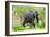 Awesome South Africa Collection - African Elephant I-Philippe Hugonnard-Framed Photographic Print