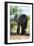 Awesome South Africa Collection - African Elephant II-Philippe Hugonnard-Framed Photographic Print