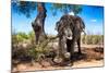 Awesome South Africa Collection - African Elephant-Philippe Hugonnard-Mounted Photographic Print