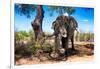 Awesome South Africa Collection - African Elephant-Philippe Hugonnard-Framed Photographic Print