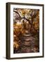 Awesome South Africa Collection - African Jungle I-Philippe Hugonnard-Framed Photographic Print