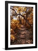 Awesome South Africa Collection - African Jungle I-Philippe Hugonnard-Framed Photographic Print